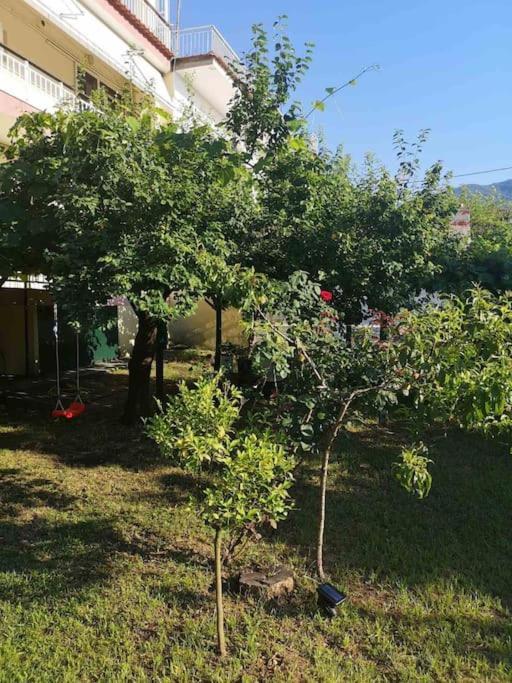Appartement Evangelias House! à Stavros  Extérieur photo